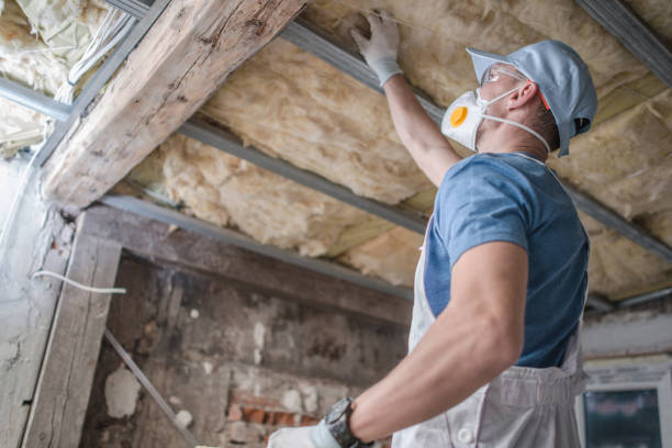 Best Insulation Installation Services in Seneca, IL
