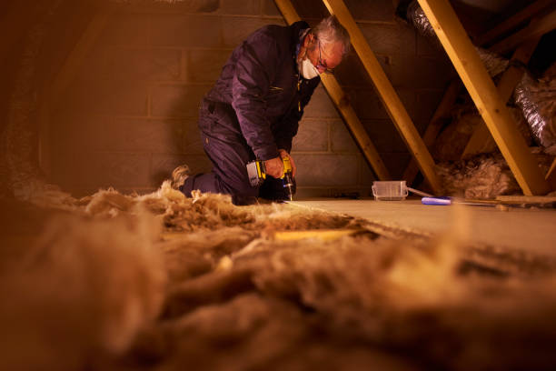 Best Insulation for Specific Applications in Seneca, IL